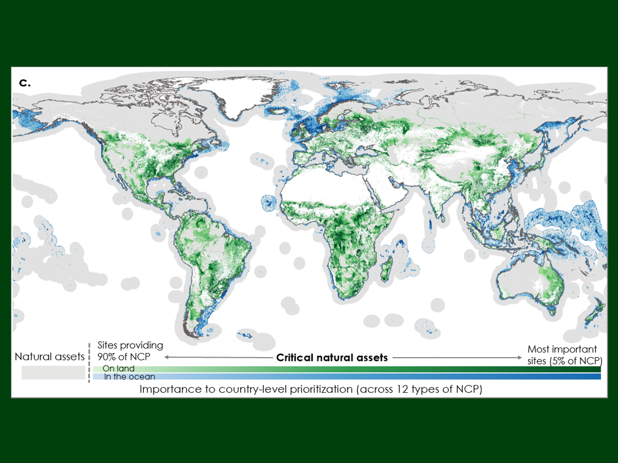 A map of critical natural assets, with darker blues and greens representing areas associated with higher levels of aggregated nature's contributions to people