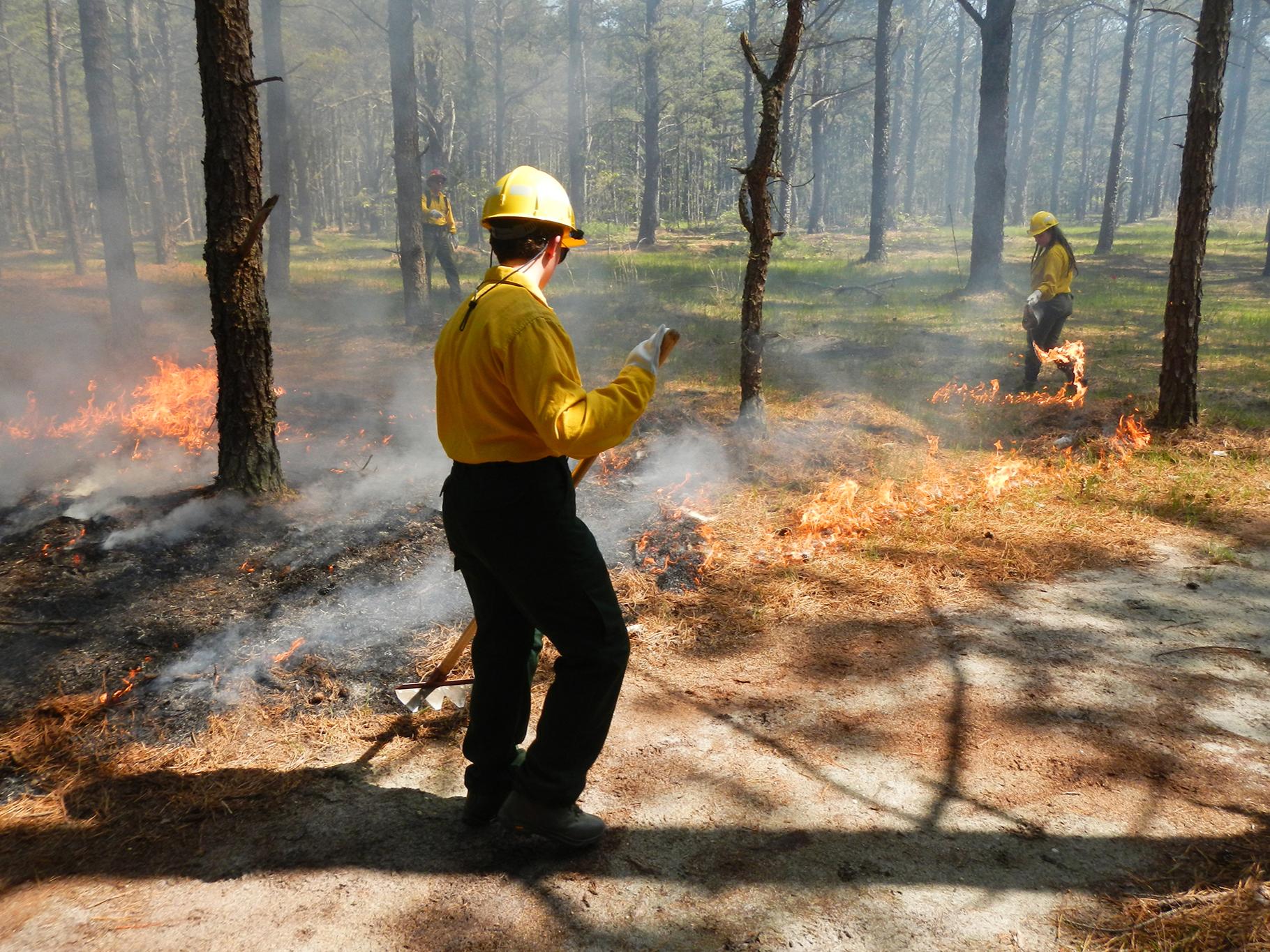 Researchers participate in a prescribed burn in New Jersey