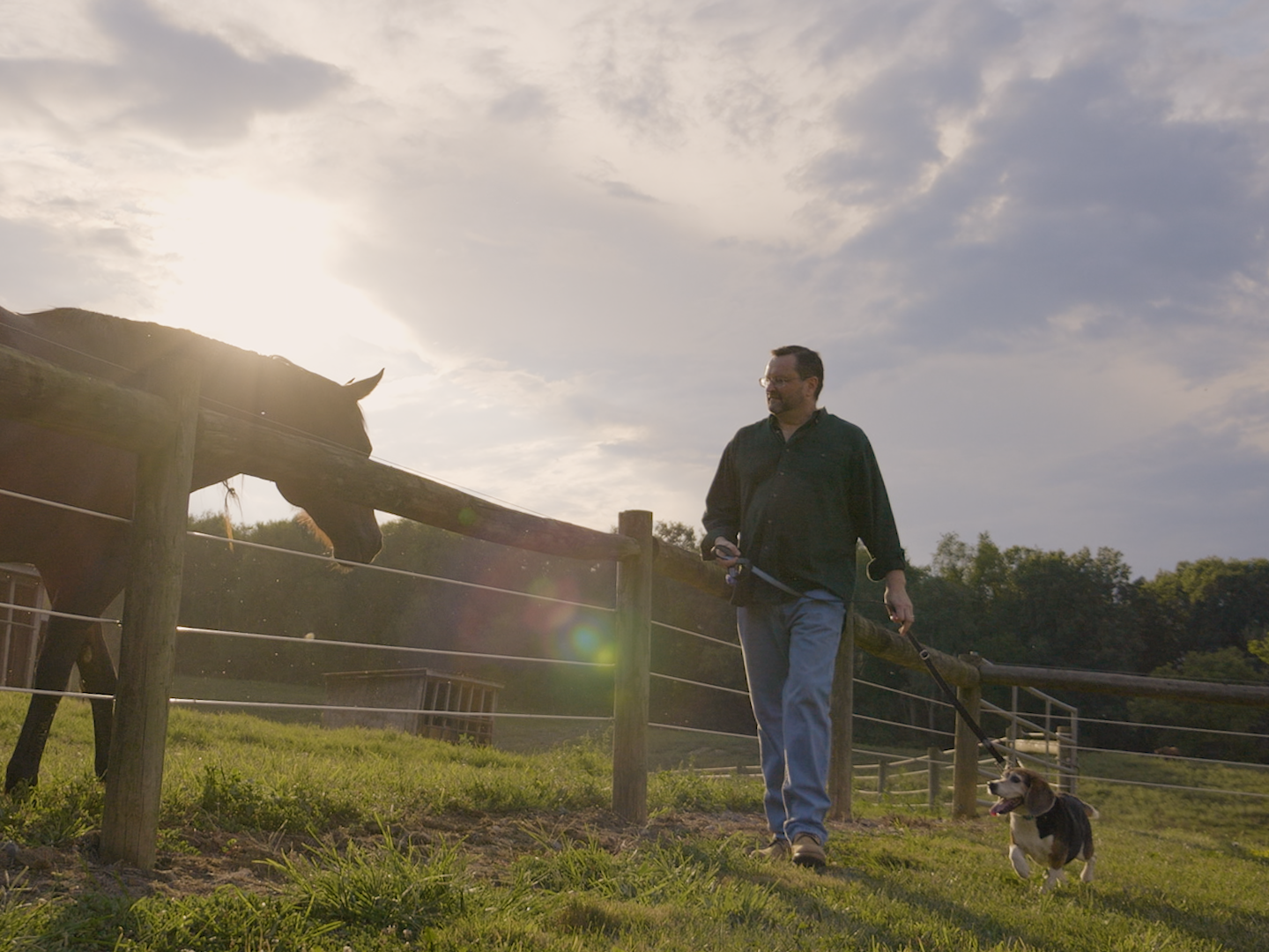 Andrew Sears, dean of the College of IST, walks his dog beside a pen of horses