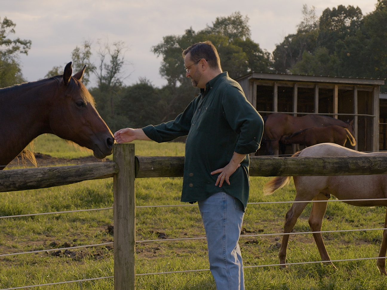 Andrew Sears, dean of the College of IST, holds out his hand to pet a horse