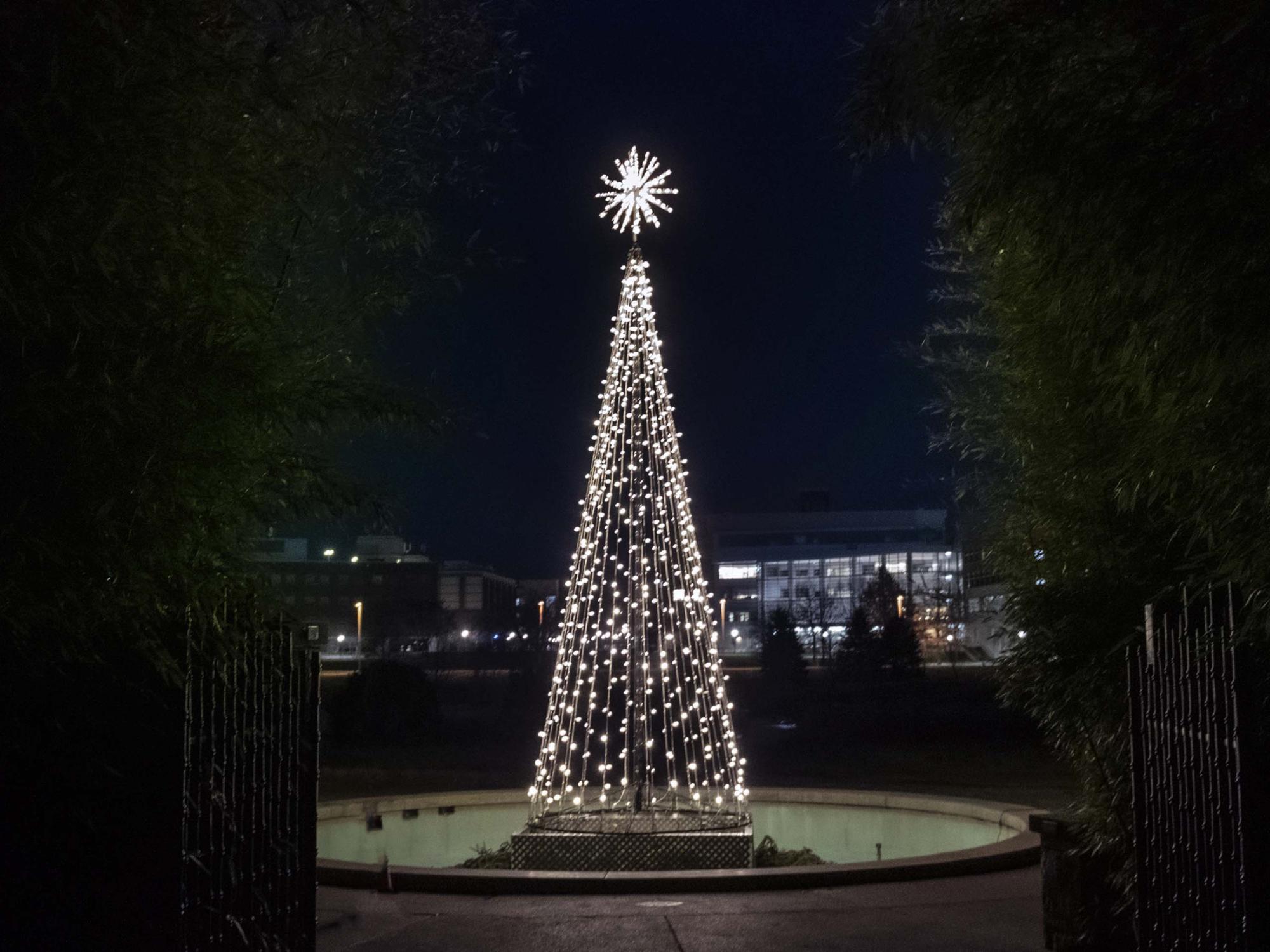 Tree shape made of strings of lights 