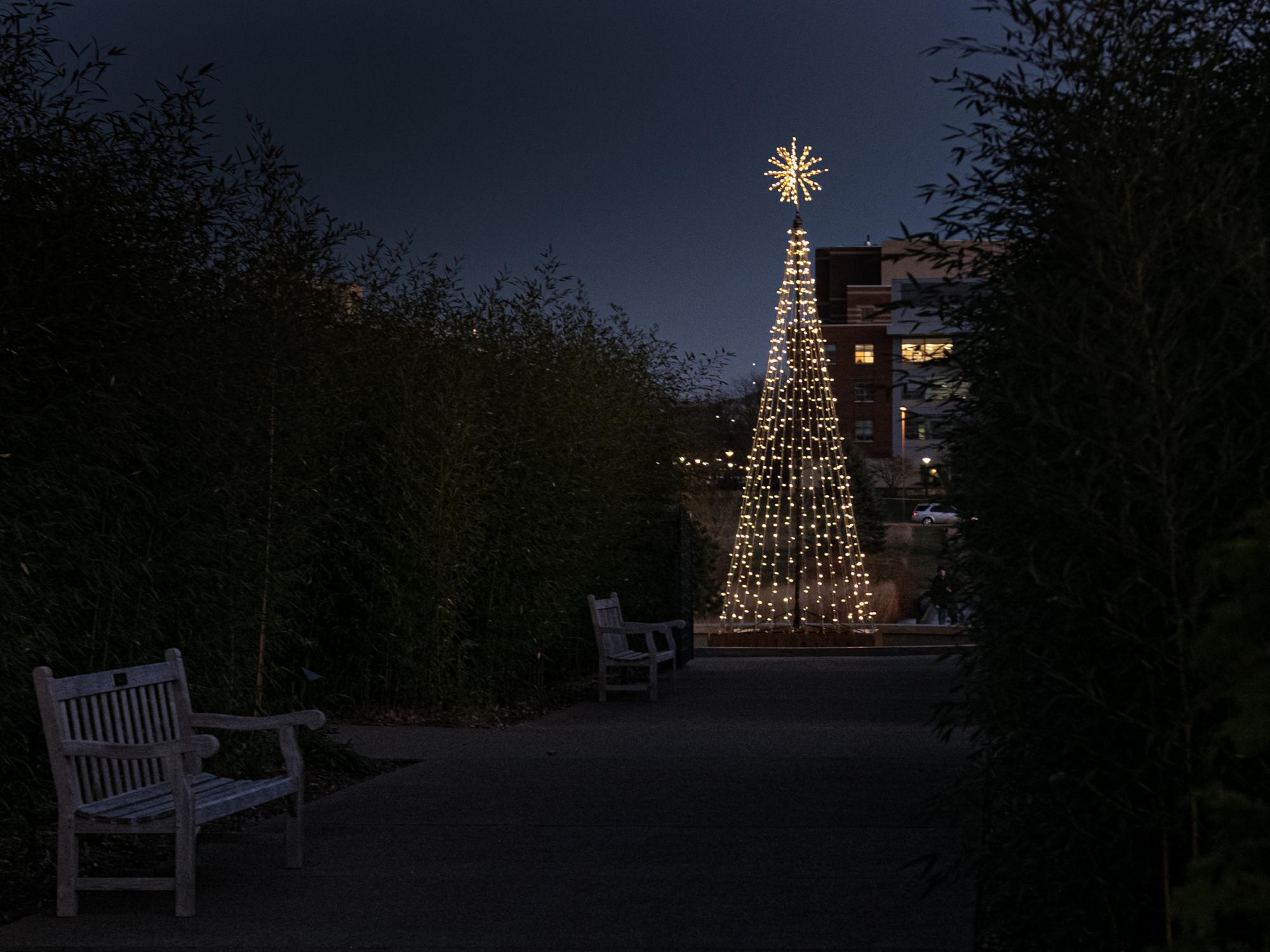 lights at Winter Celebration Arboretum