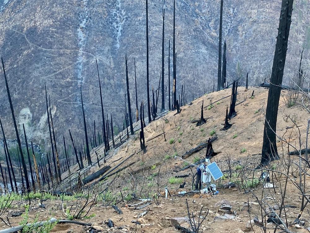 Dixie Fire forest instrumentation