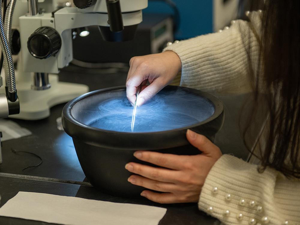 A scientist places a sample into a smoking bowl of liquid nitrogen with a pair of tweezers in a lab setting.