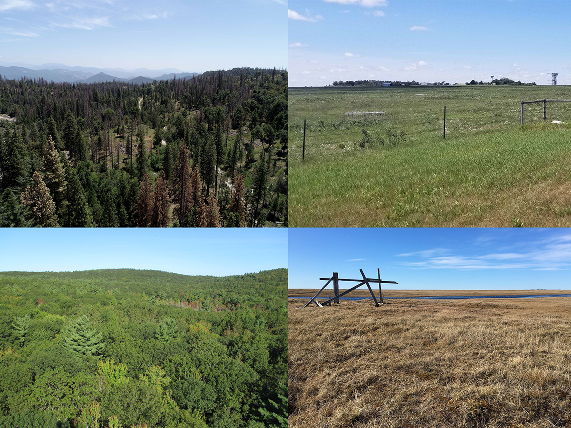 Clockwise from top left: a pine forest in the mountains, a farm on a plain, a boreal tundra, and a mixed deciduous and coniferous forest.