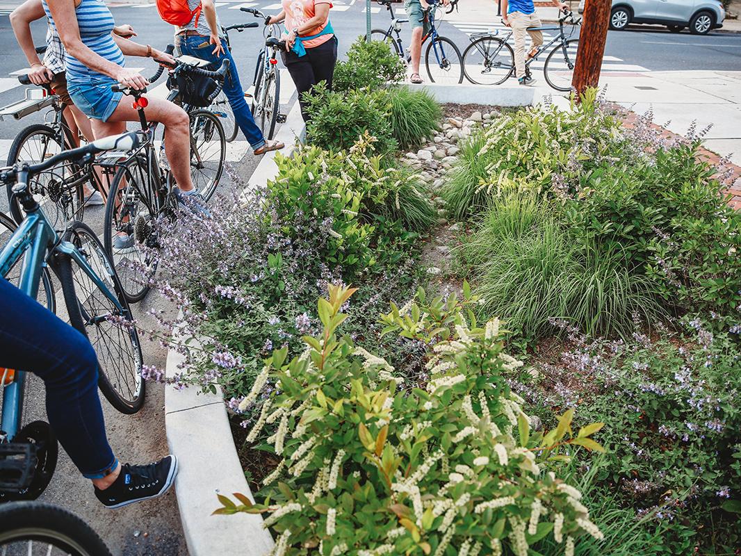 Cyclists park bikes around rain garden