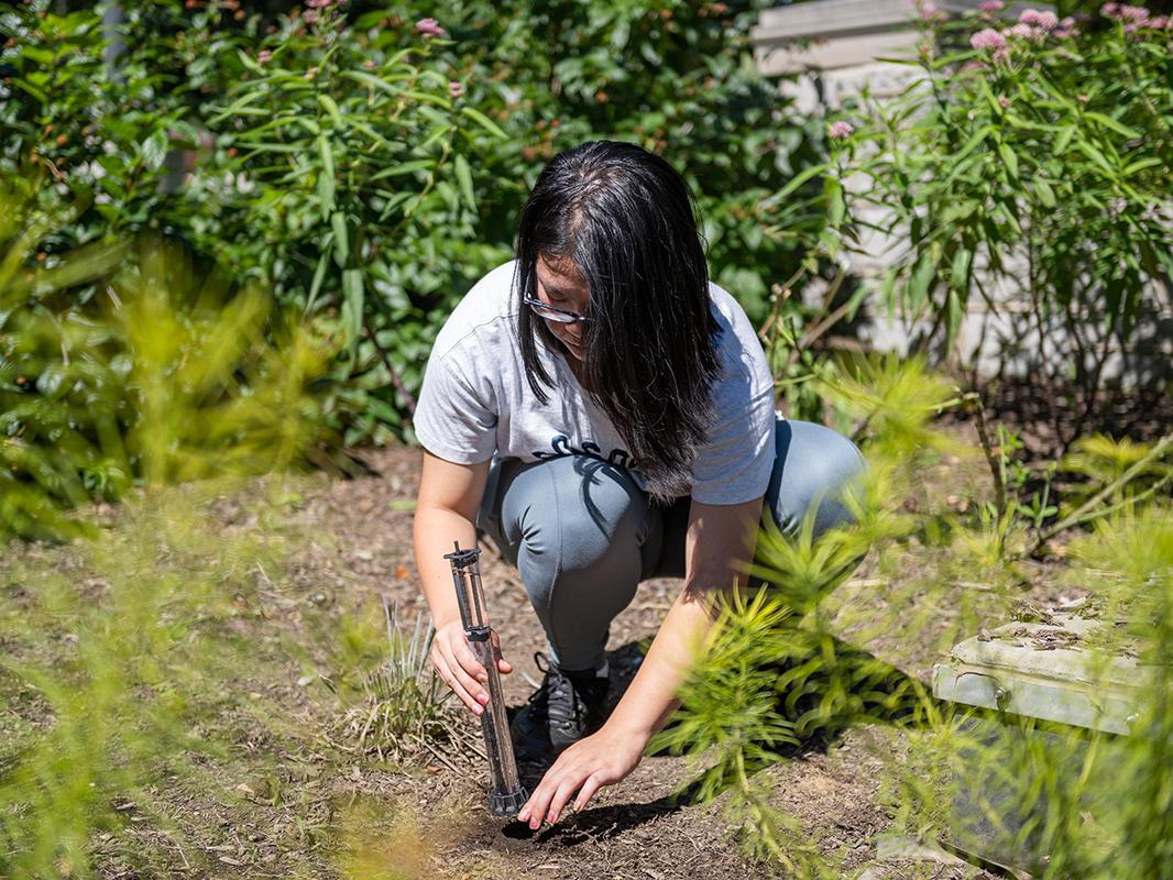 Student measures speed of water infiltration
