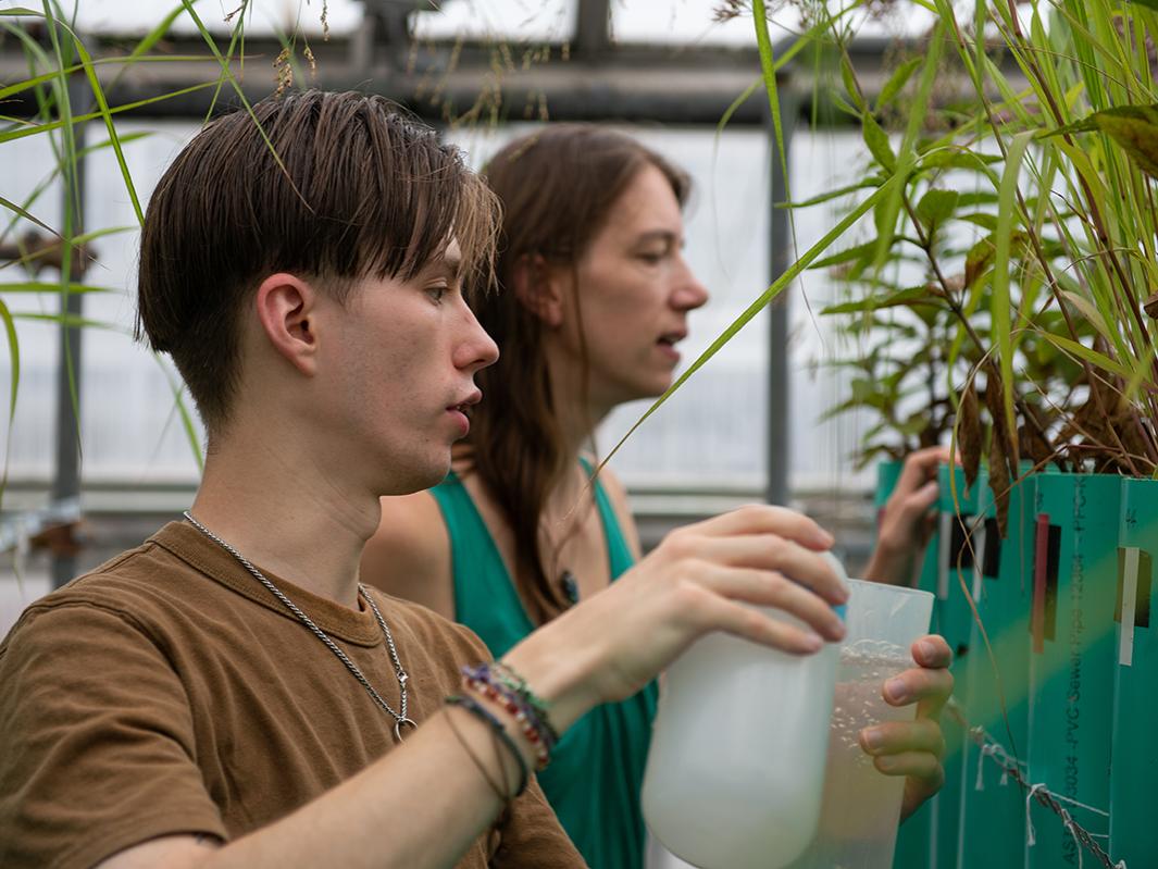 Students work in GSI mesocosms