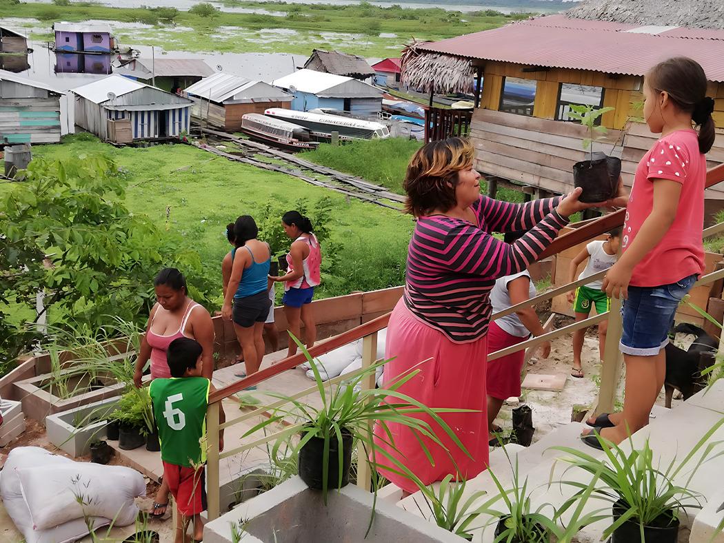 Residents of a community in Peru are shown planting saplings in their community.