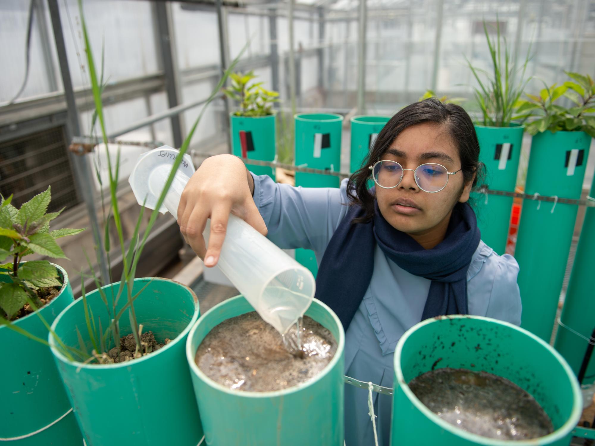 Student pouring water into vessel