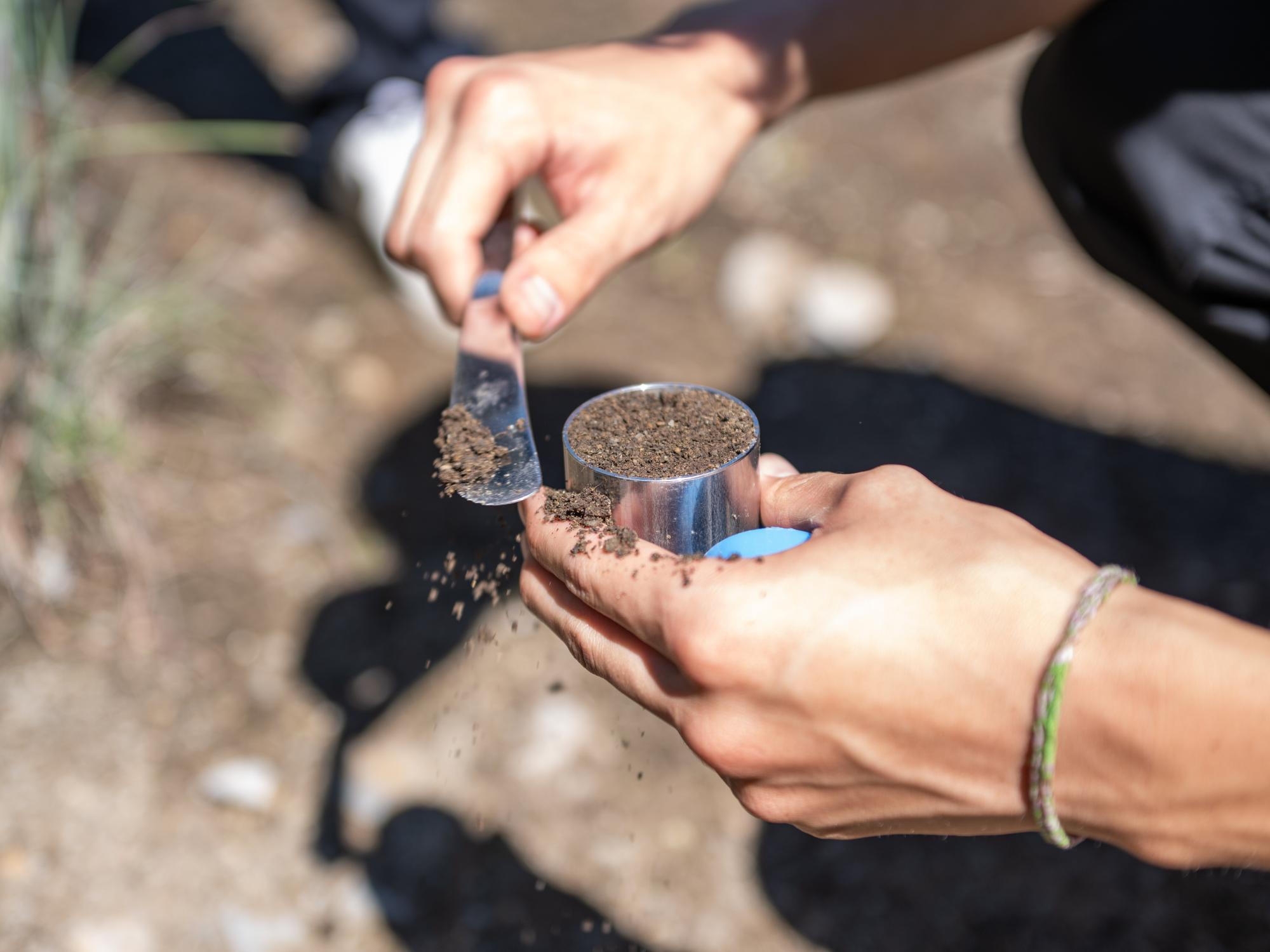 Student putting soil sample in small jar