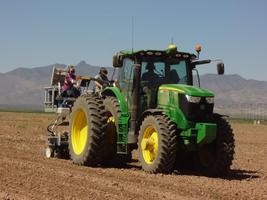 planting corn