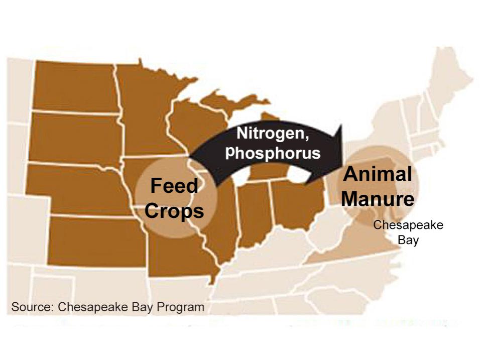 A map of the United States that illustrates the manure imbalance