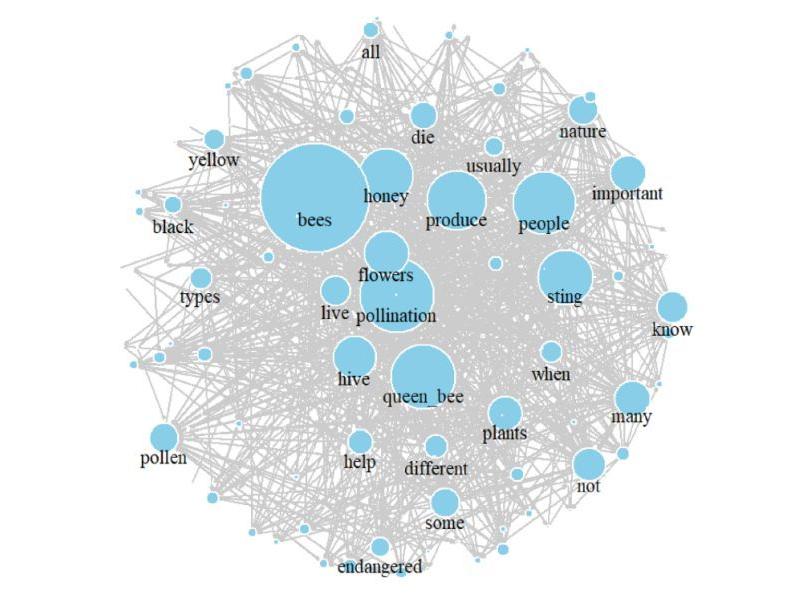 Illustration of a semantic network representing bee knowledge of low-interest group