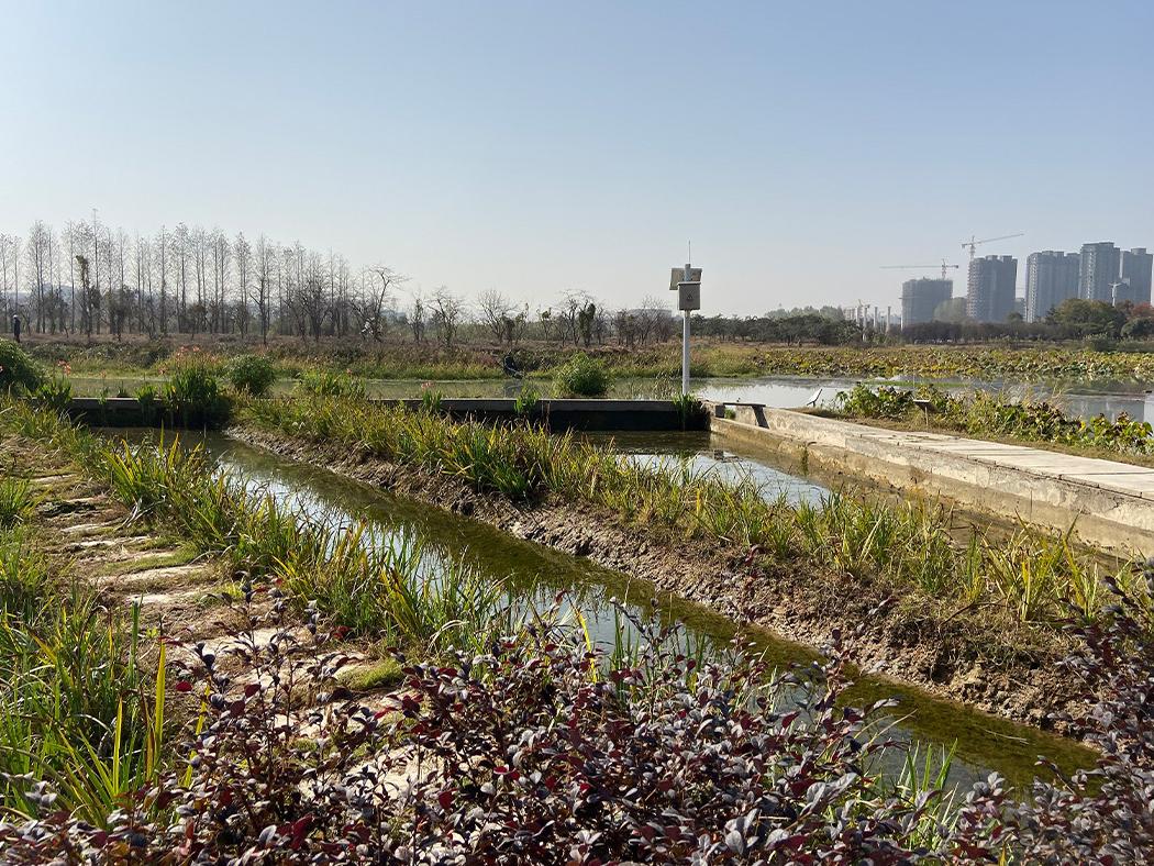 A stormwater filtration system in Tiantang River Park, Pingxiang, China.