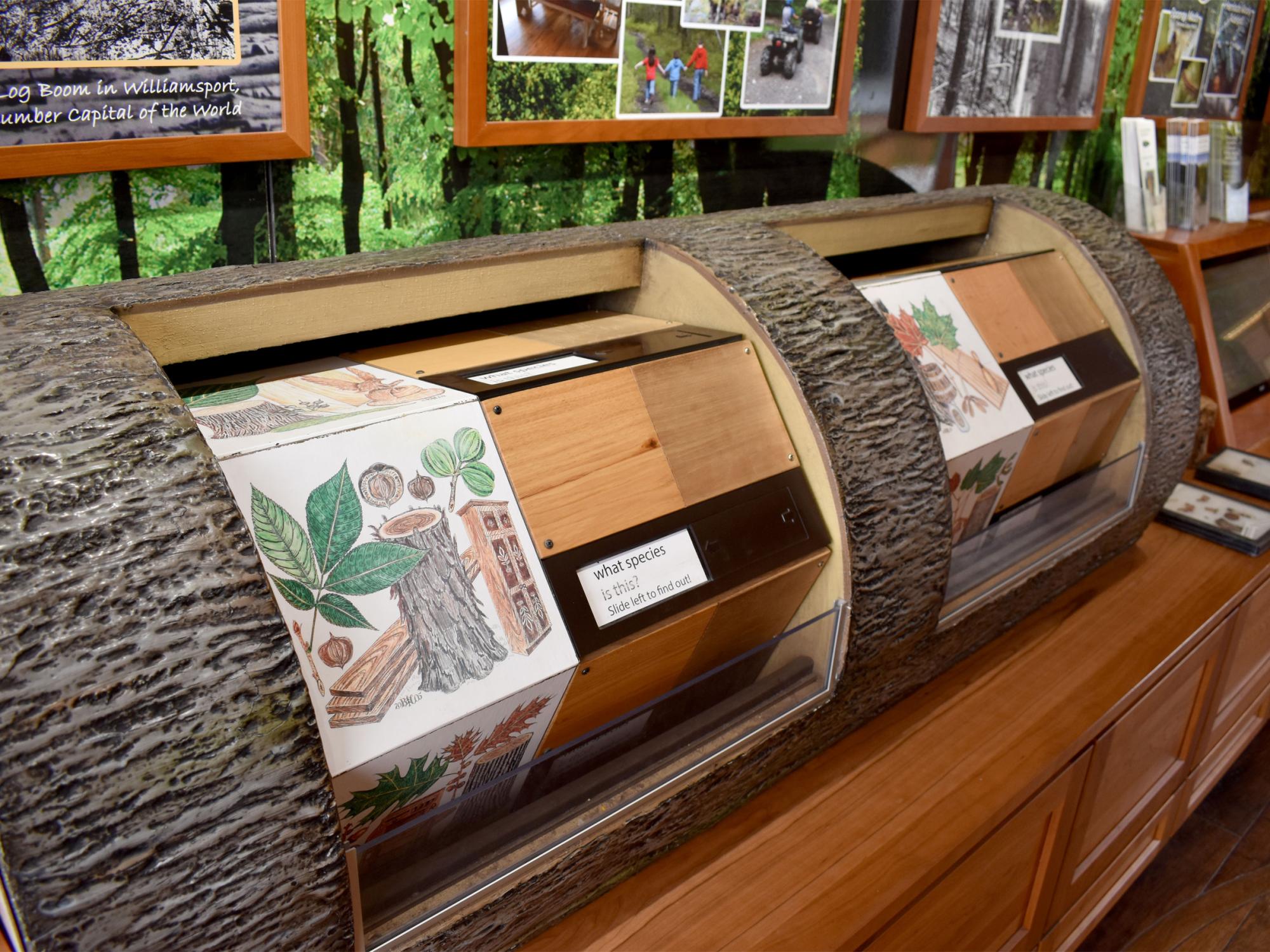One of the interactive exhibits inside the WoodMobile, which was on campus outside the PAW Center during the Earth Day celebration at Penn State DuBois