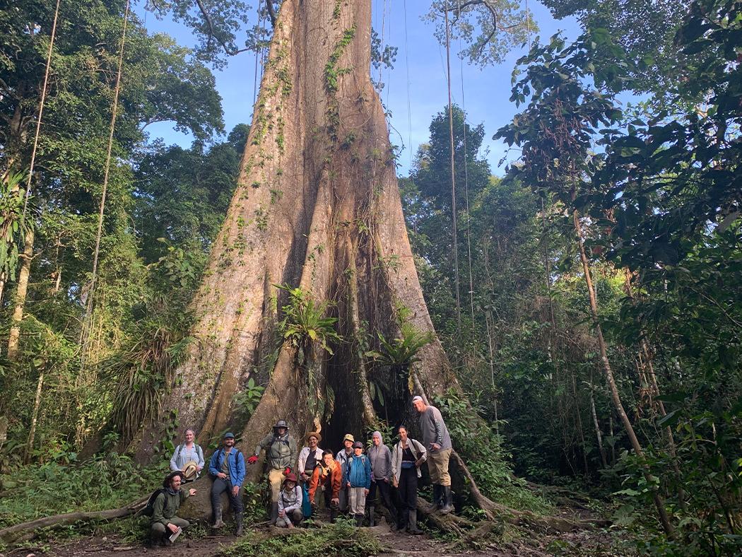 Students and their teacher stand at the base of a giant tree in the Amazon jungle. 