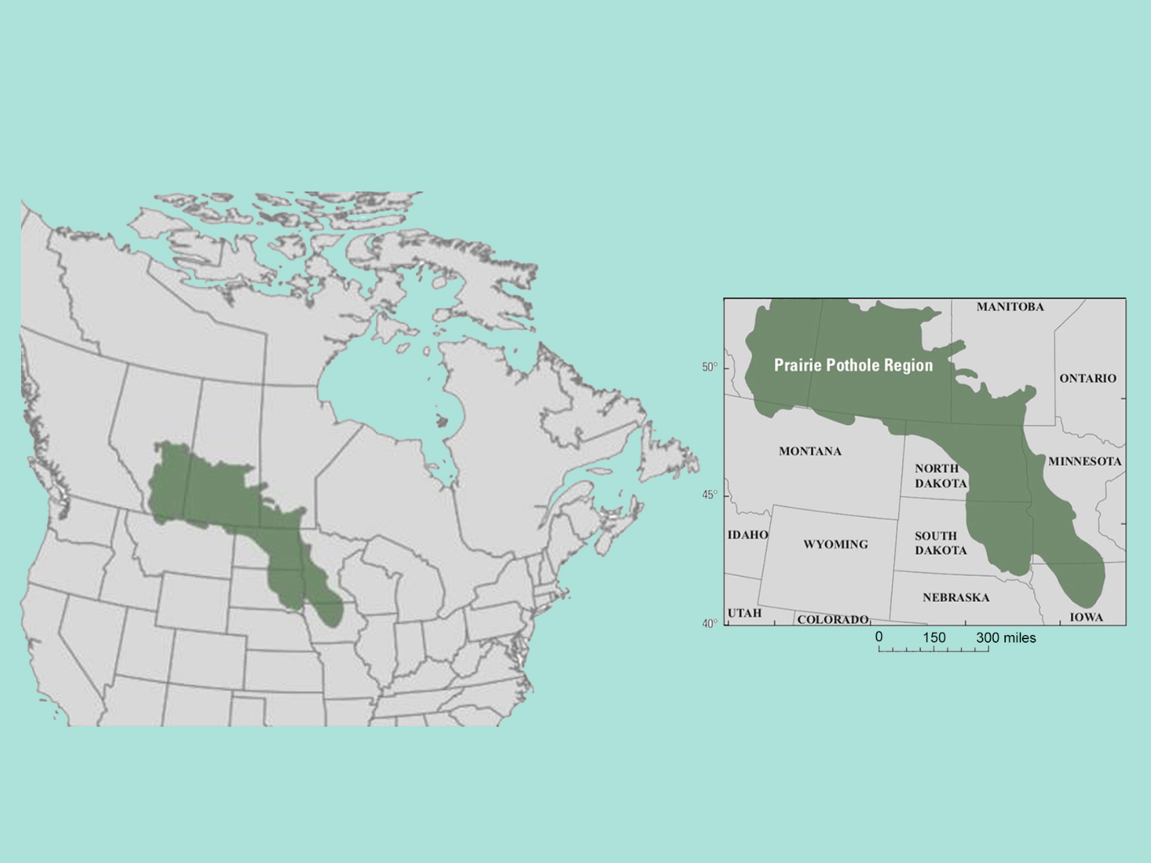 map of Prairie Pothole Region