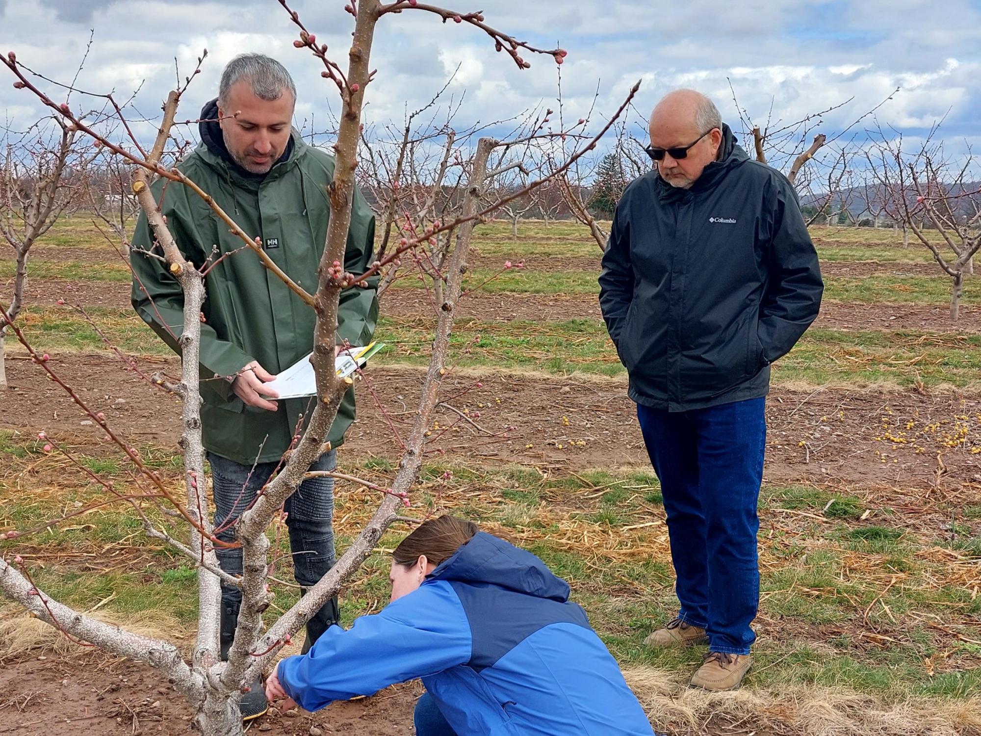 Nikoloz Meskhi and Greg Krawczyk in field 