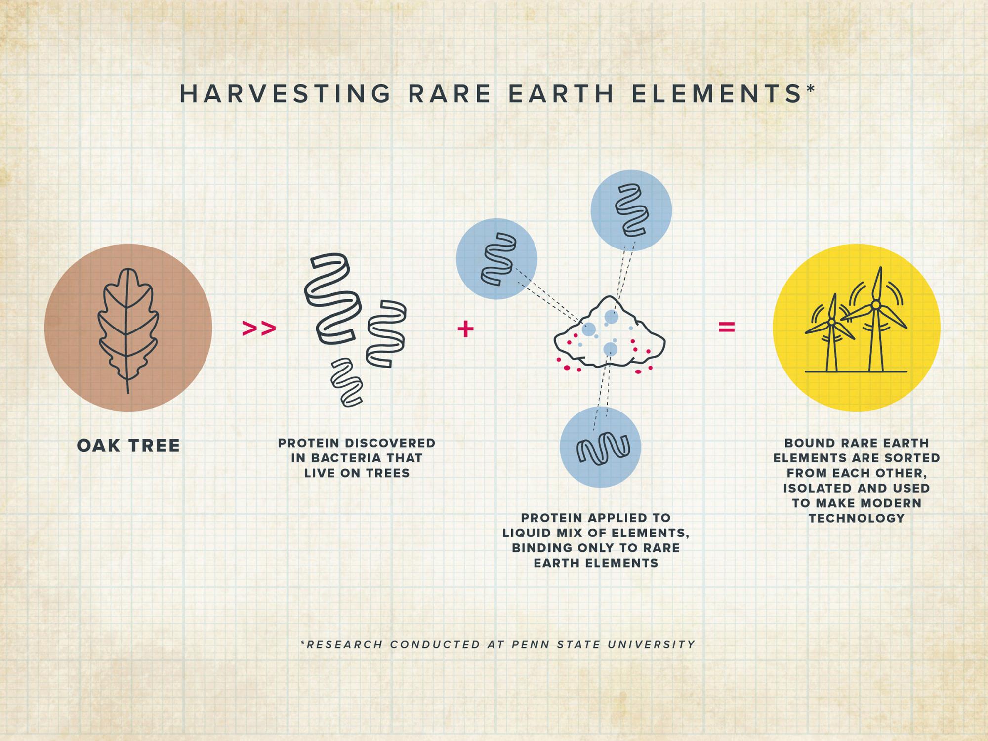 Illustration showing step-by-step process from protein to purified rare earths