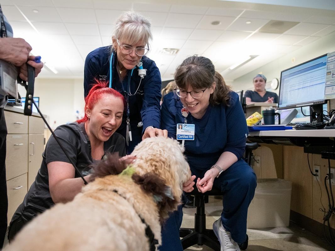 Three women surround a dog. The women are all smiling and wearing scrubs.