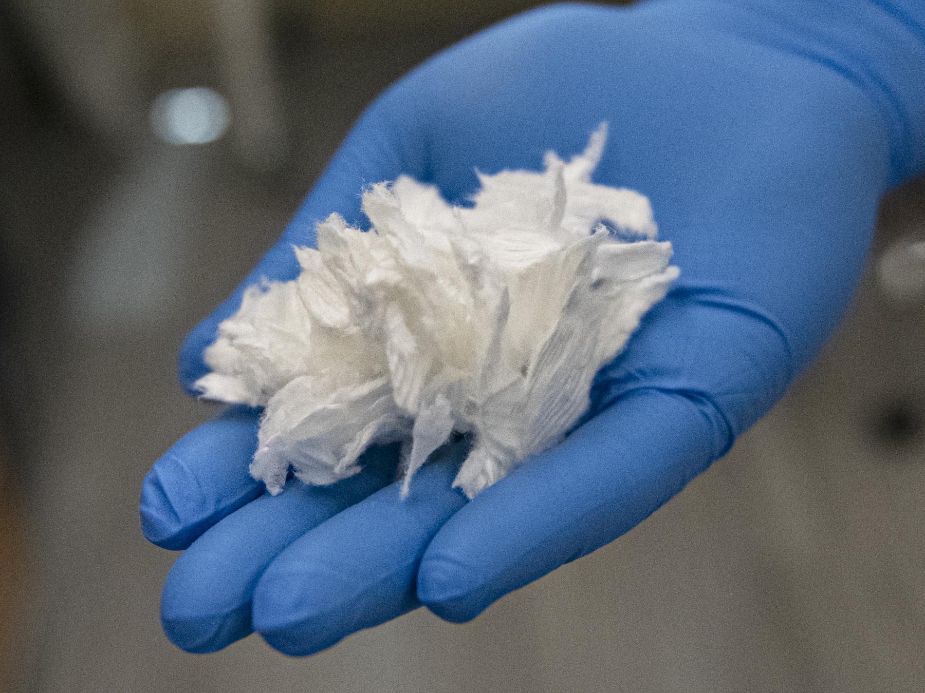 Blue-gloved-hand holds bits of shredded white paper towel 