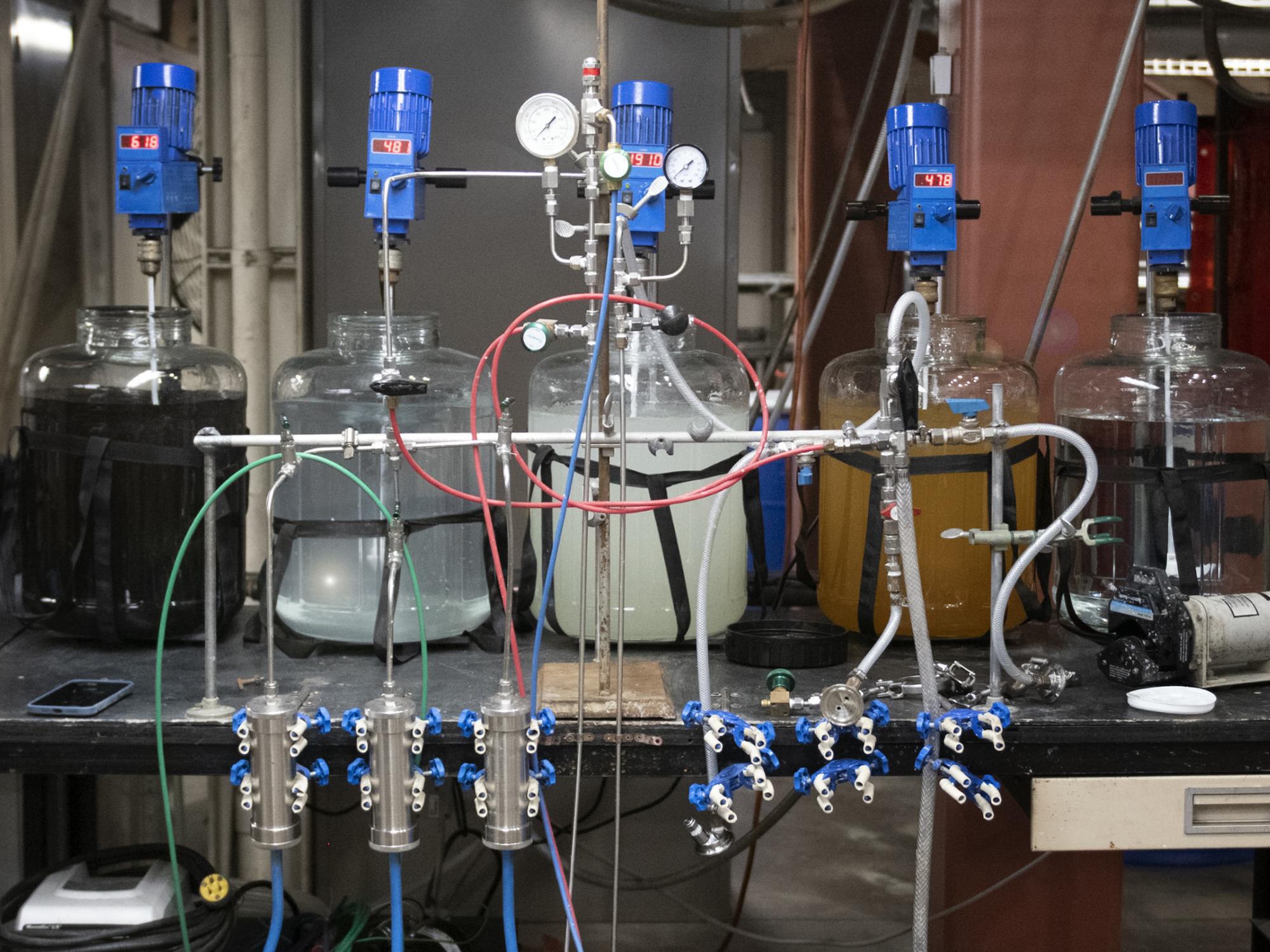 Four large carboys on lab table containing different colored liquids