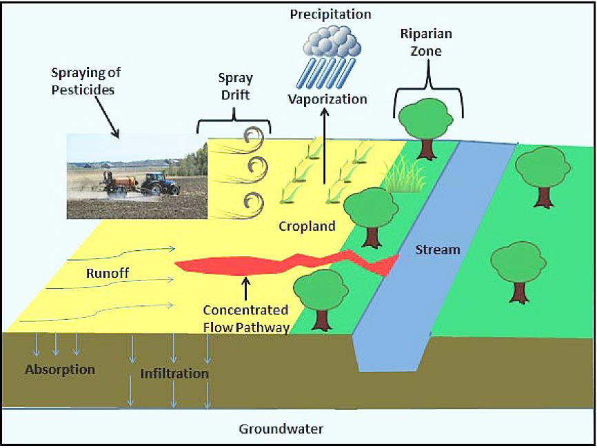 pesticide flow graphic