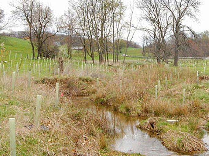 small stream