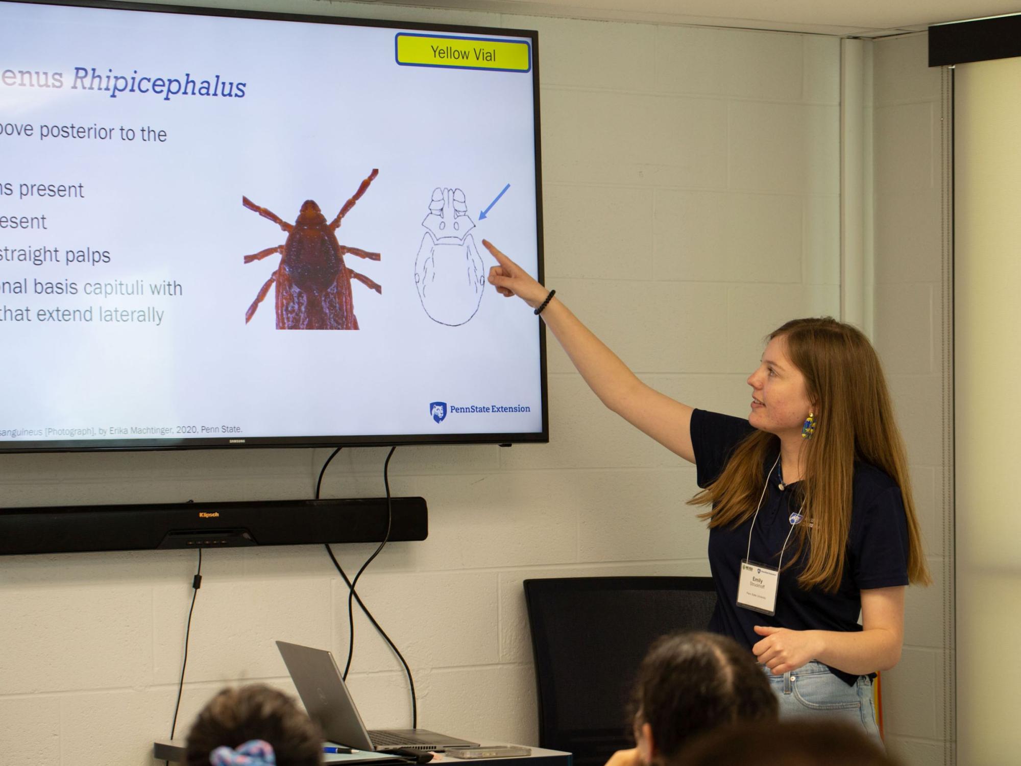 Emily Struckhoff teaching about insect identification
