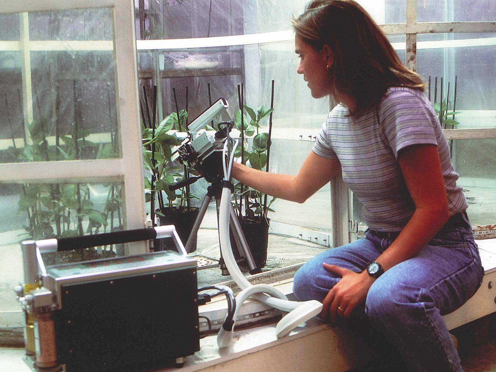woman using device on plant