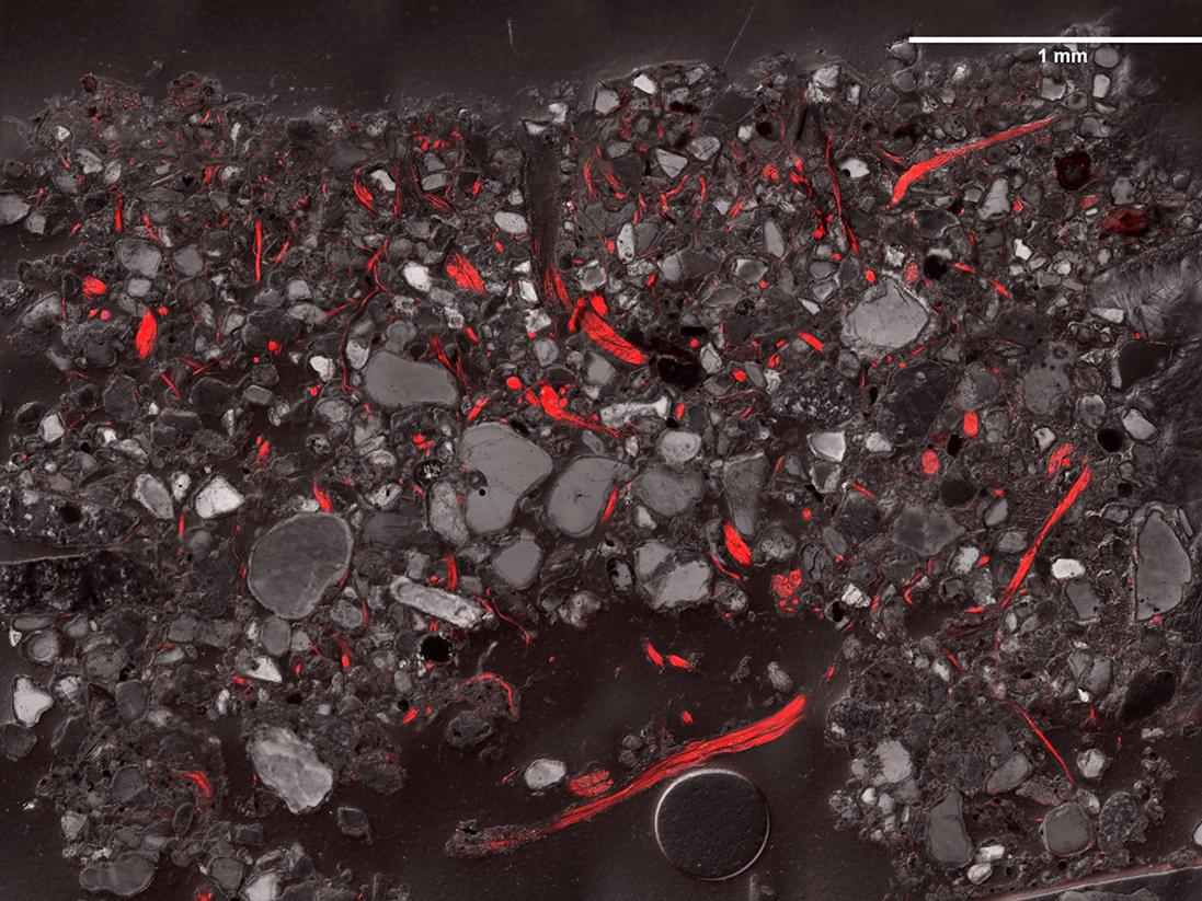 fluorescent filaments