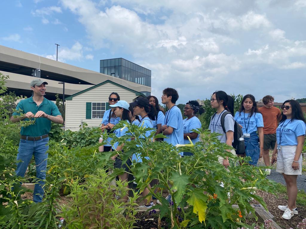 Group of people in blue shirts walking through a garden.
