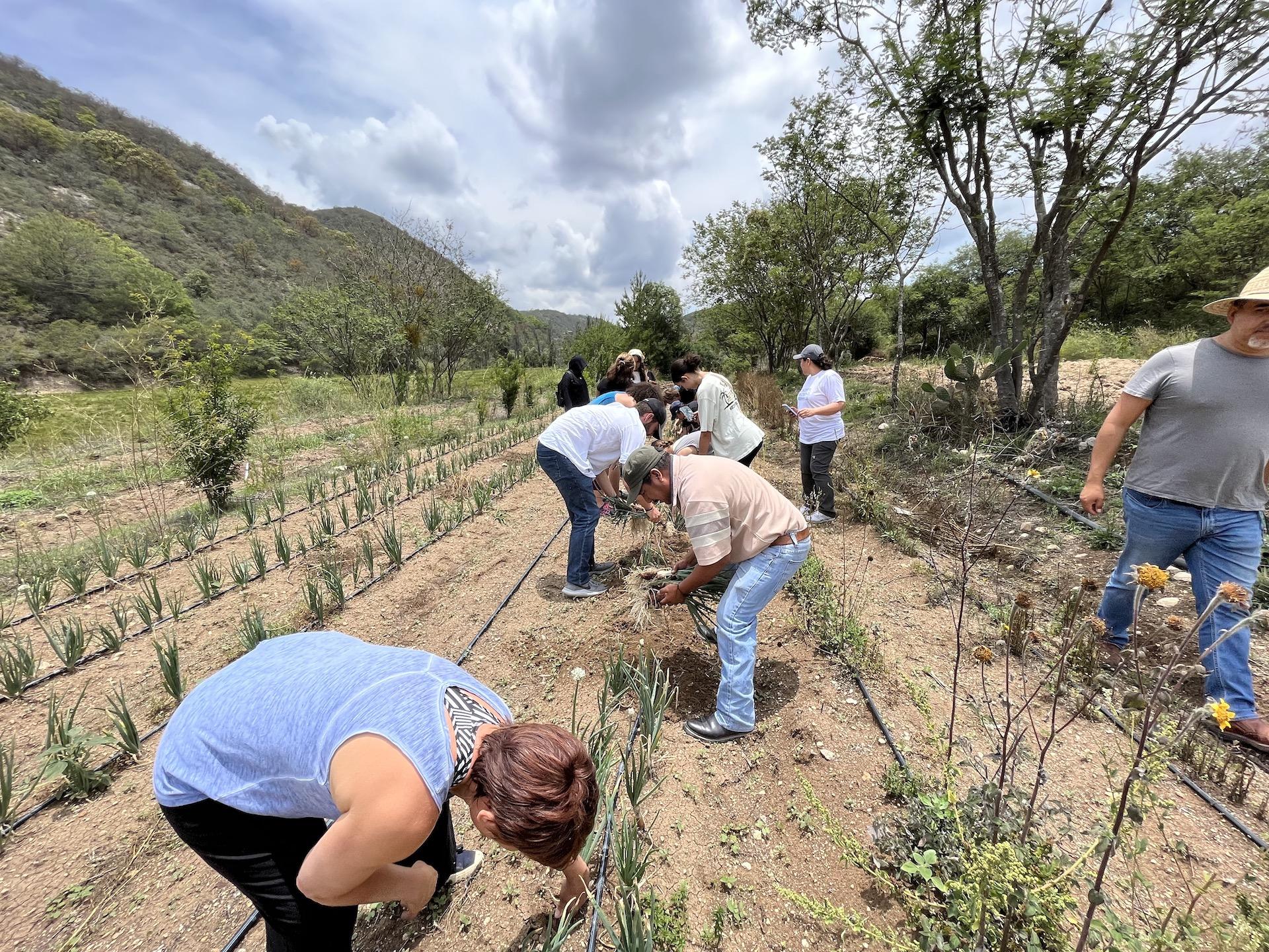 students in field