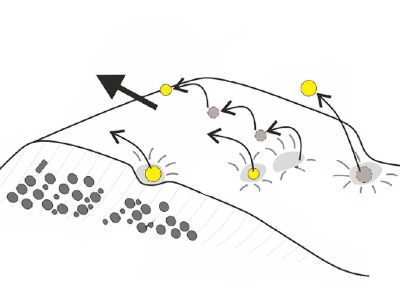 drawing of riverbed sand dune being eroded by microplastics