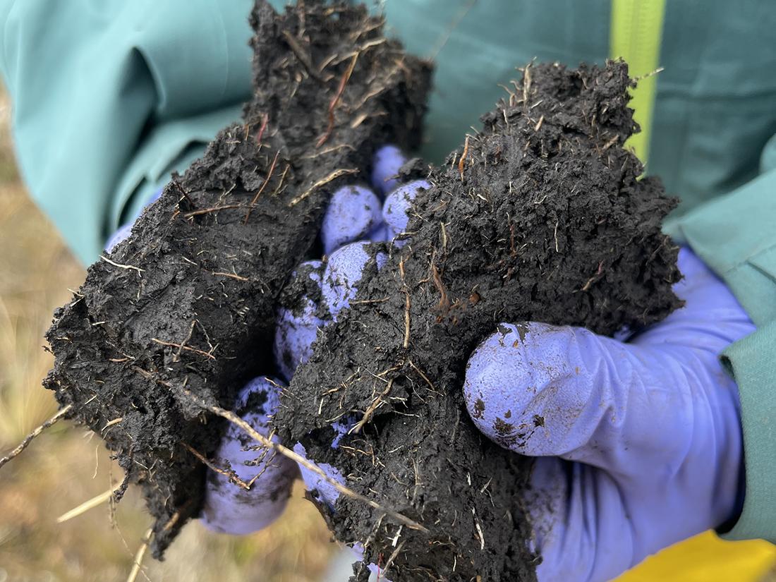 rich soil, Colombia
