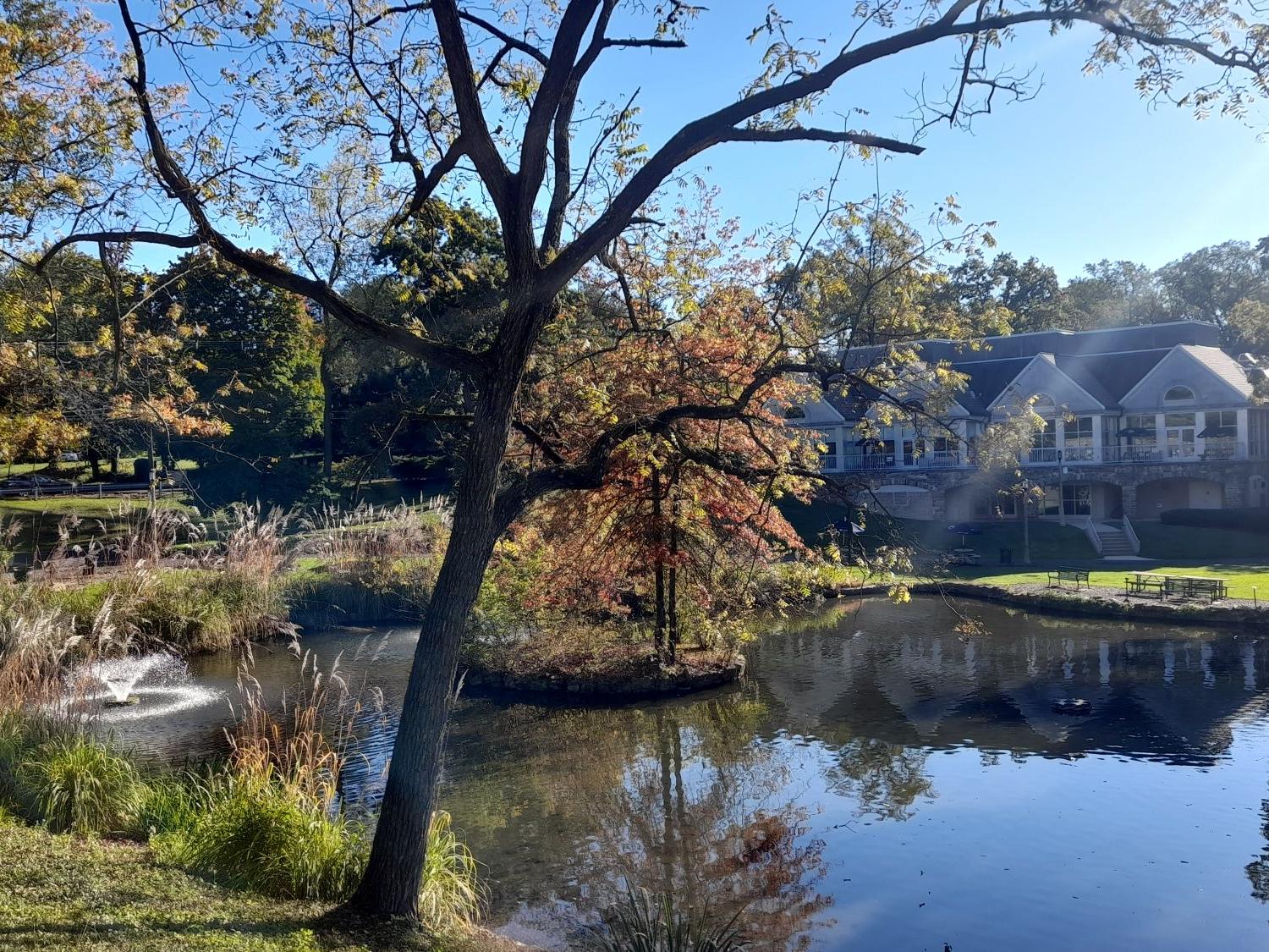 A picture of a pond and fountain on a sunny day.