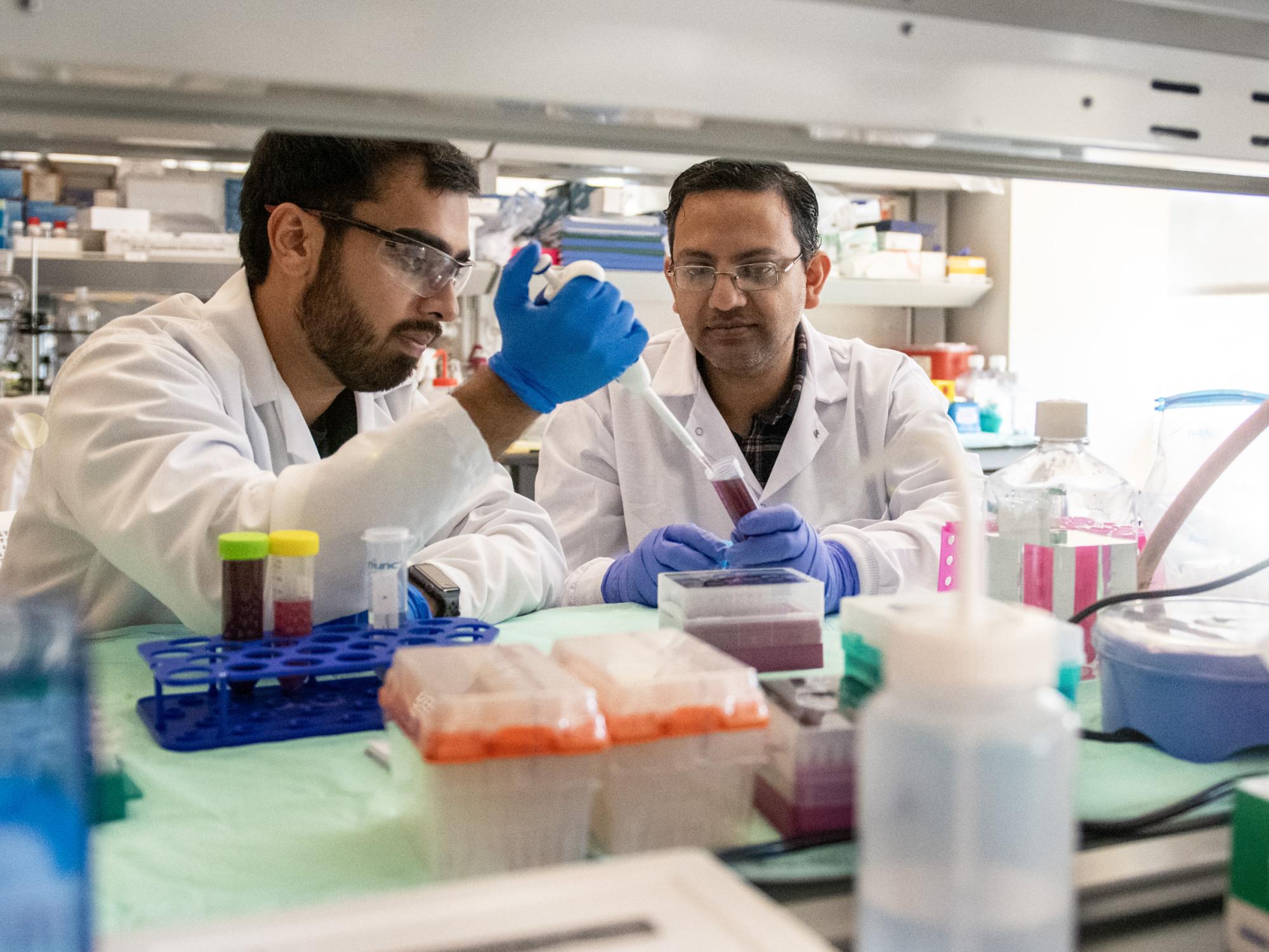 research assistants in lab
