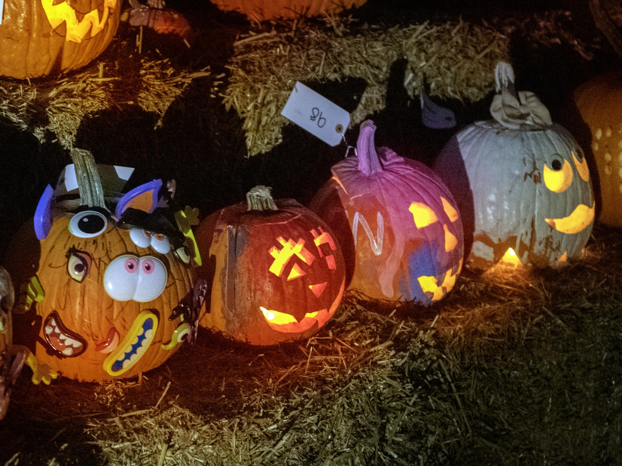 Jack o lantern 2 to 4 year old entries