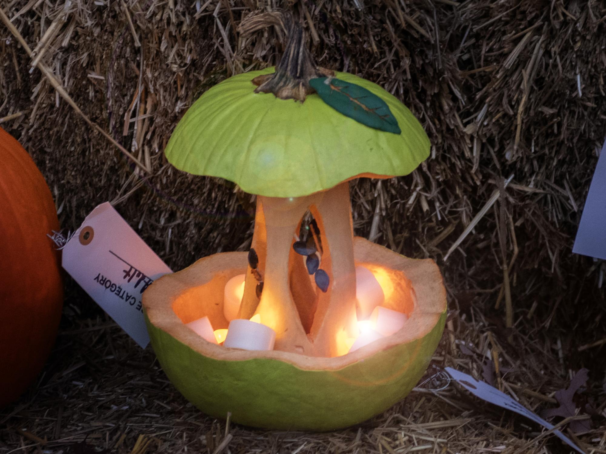 apple core pumpkin