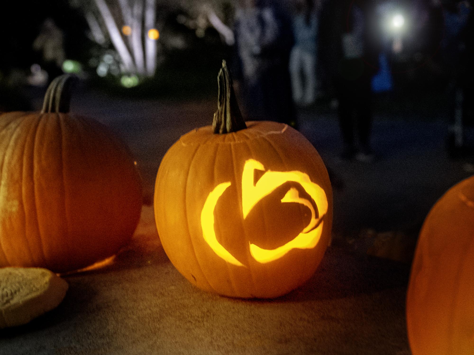 lion logo pumpkin