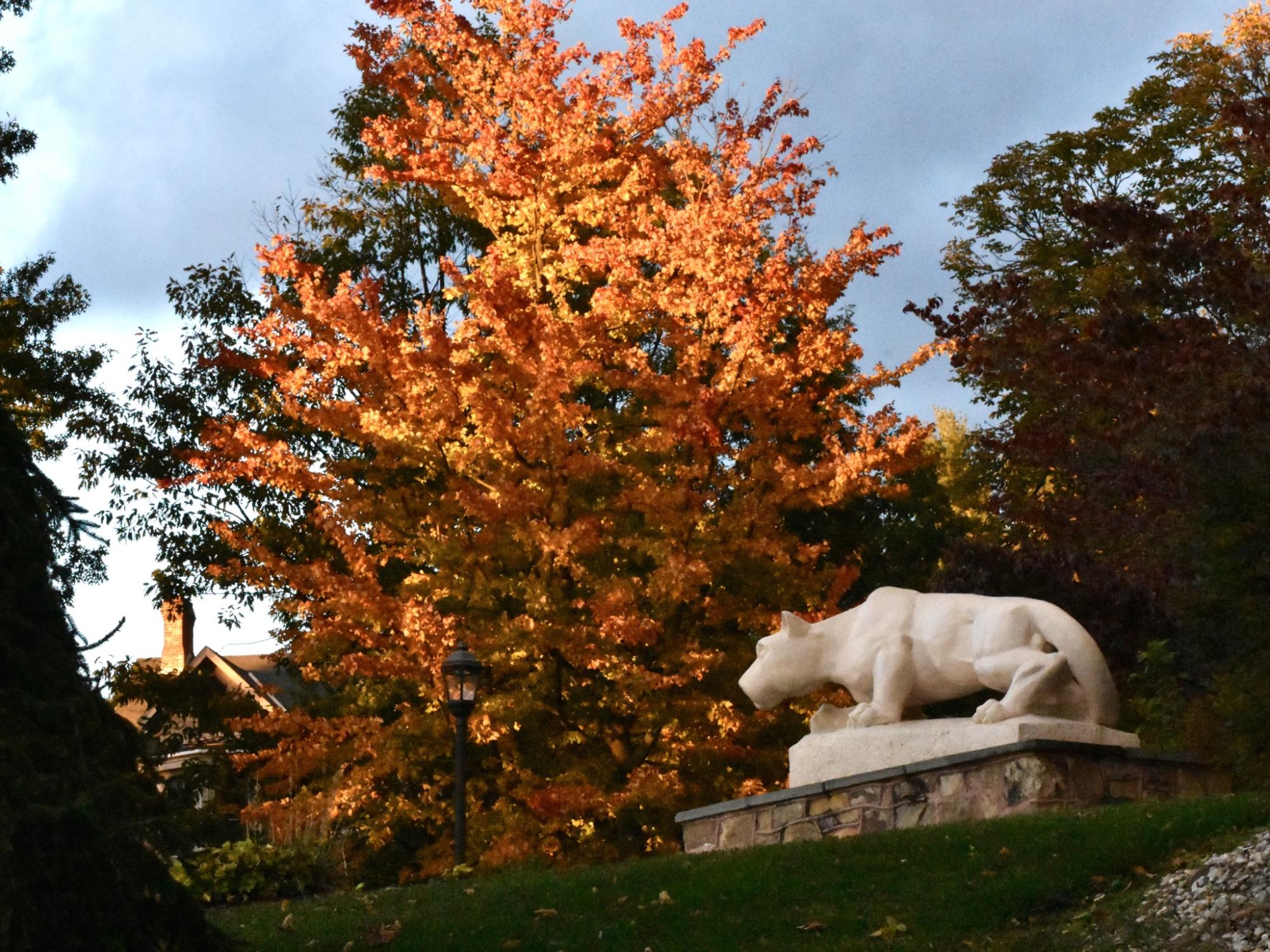 A tree with red and orange leaves next to the Nittany Lion statue at Mont Alto.