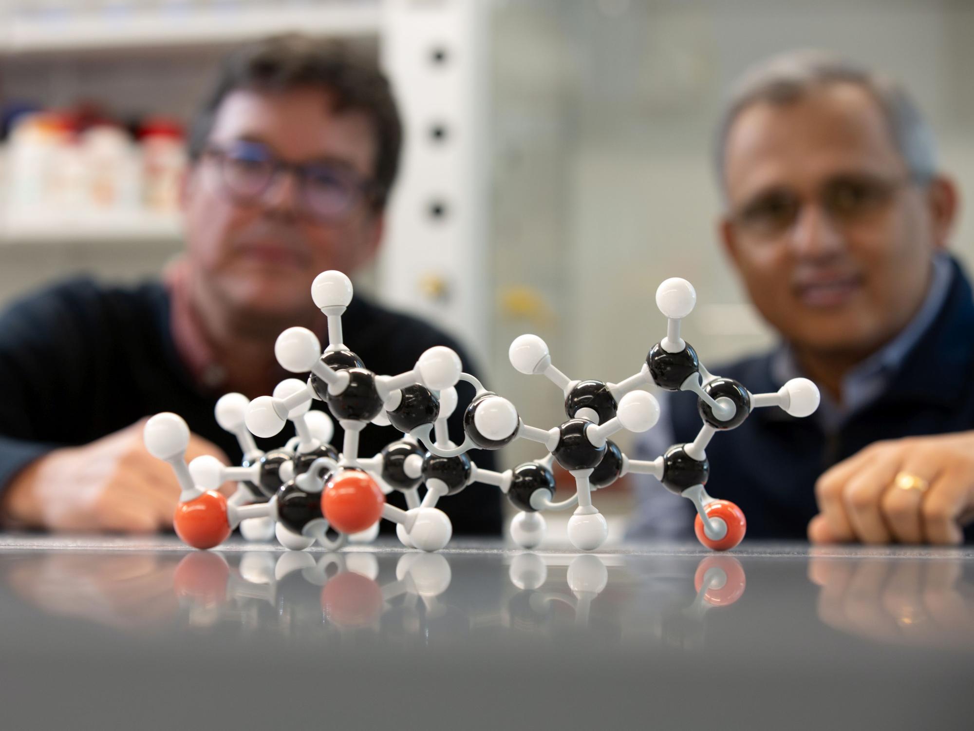 Plastic molecule in front of two people