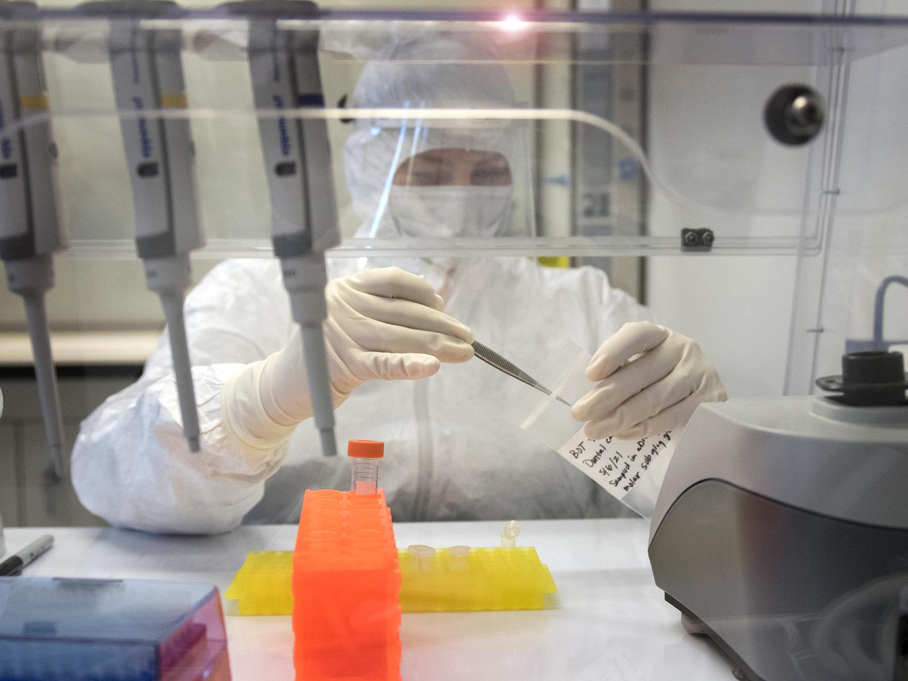 Person in personal protective equipment working under a fume hood in a lab. 