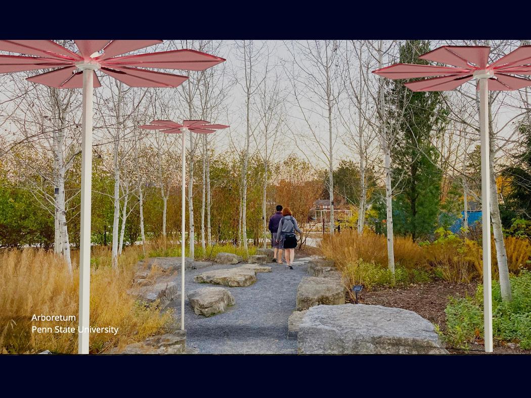 A rendering of solar installations in the Penn State Arboretum.