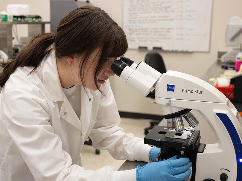 Person looking in a microscope