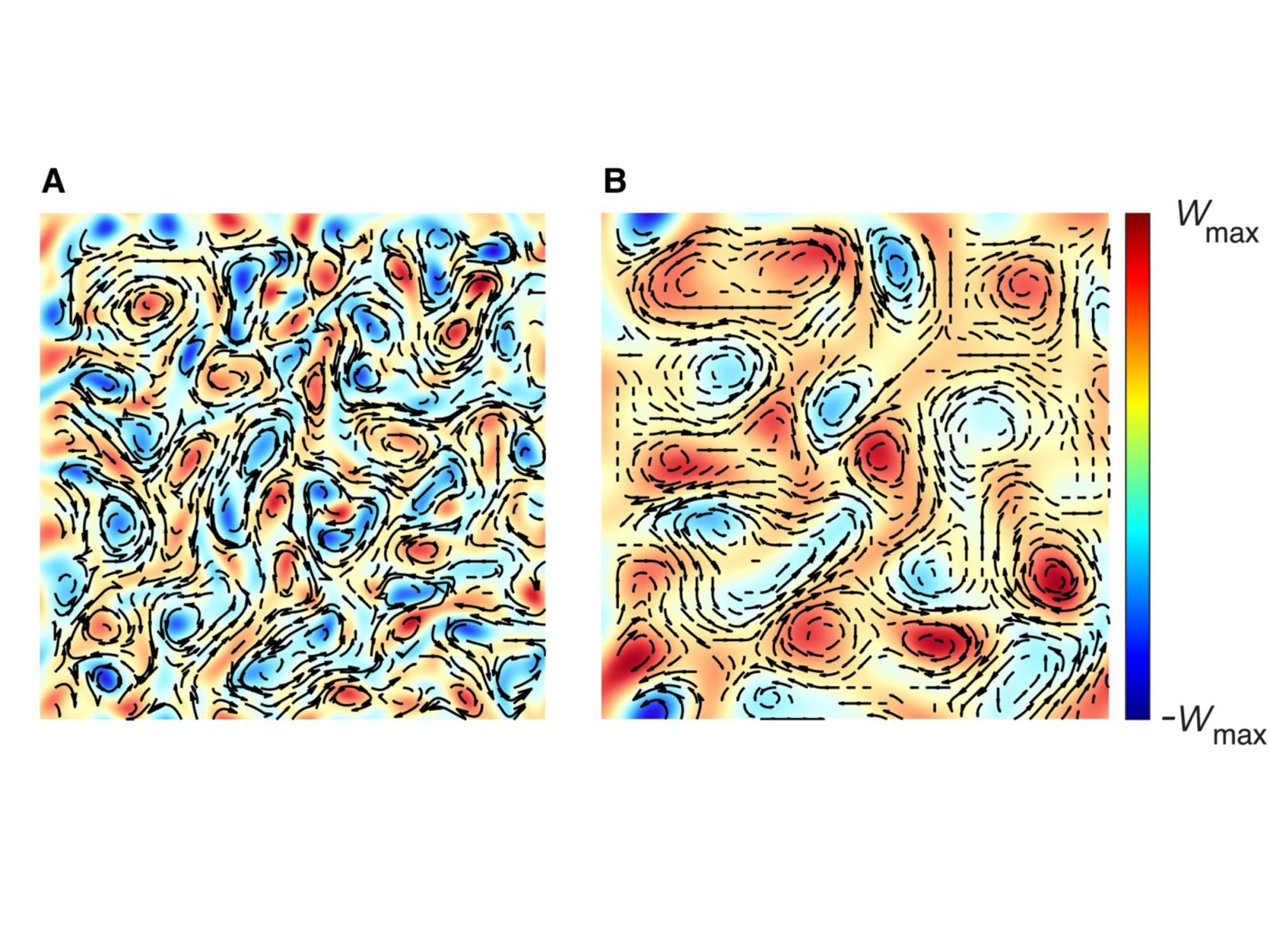 graphic depiction of model bacteria in mucus