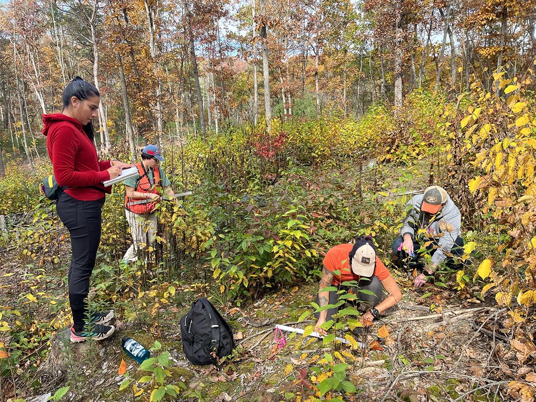Students in the woods