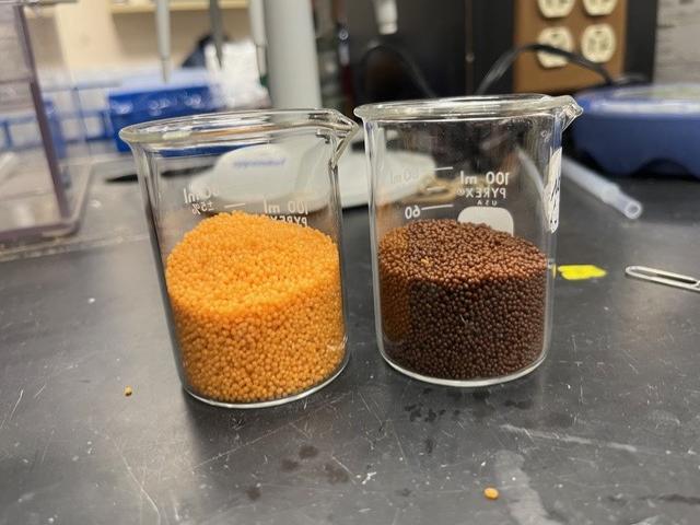 beakers of supplements