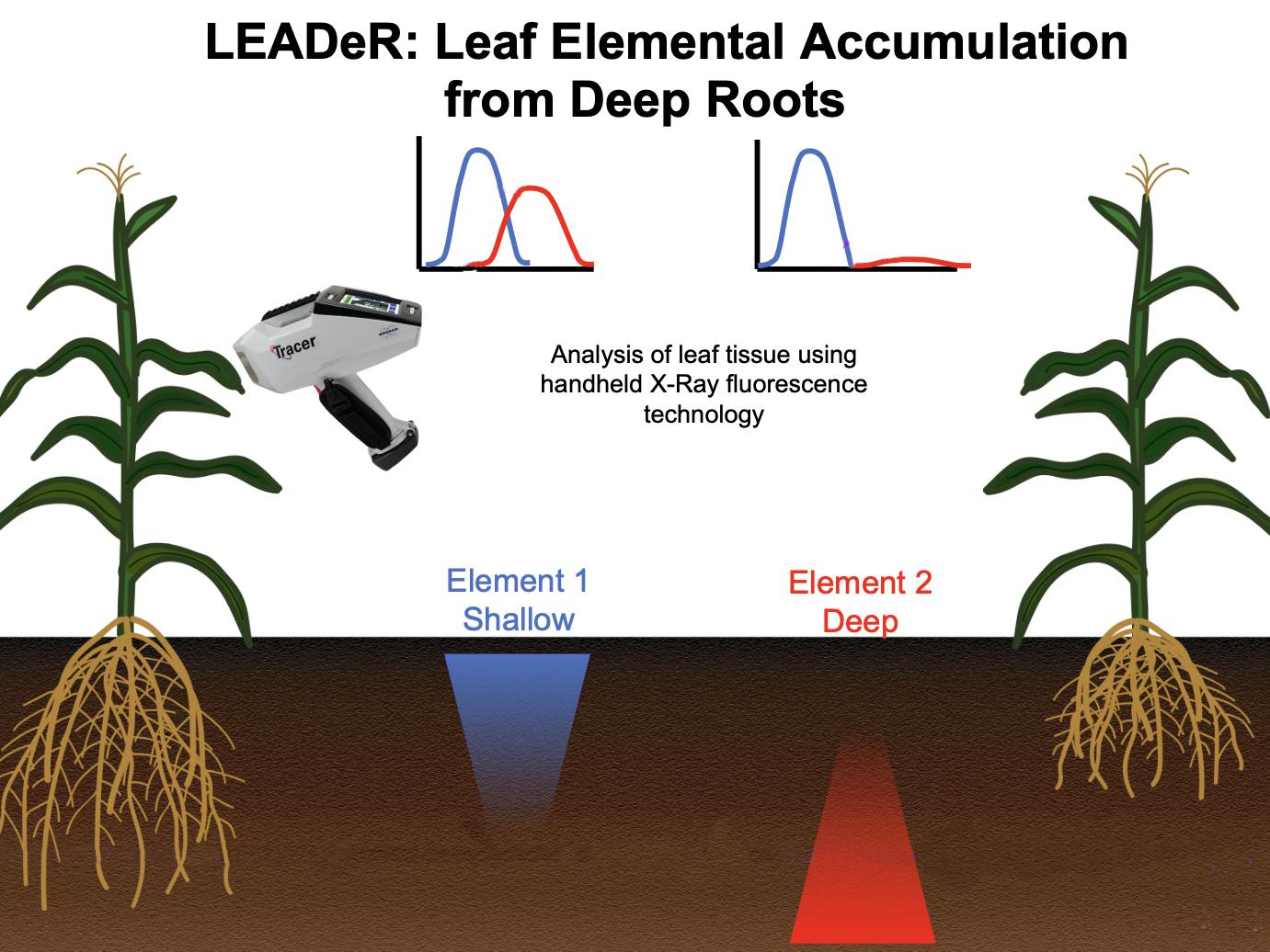 illustration depicts method 